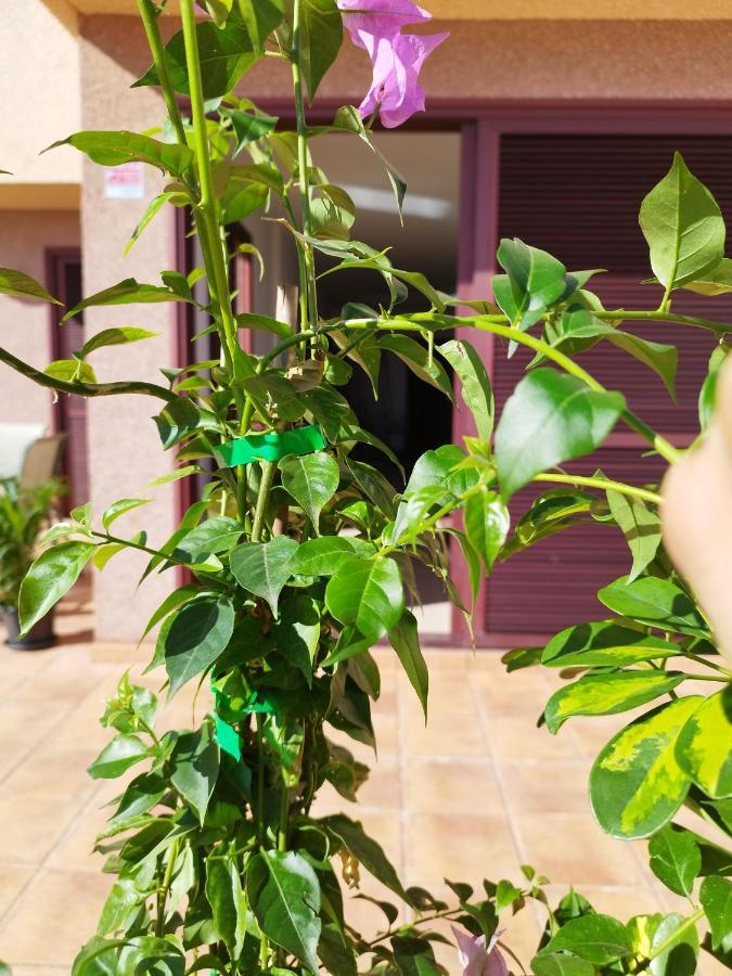 Vivienda Vacacional Compartida Radazul Bed & Breakfast Exterior photo