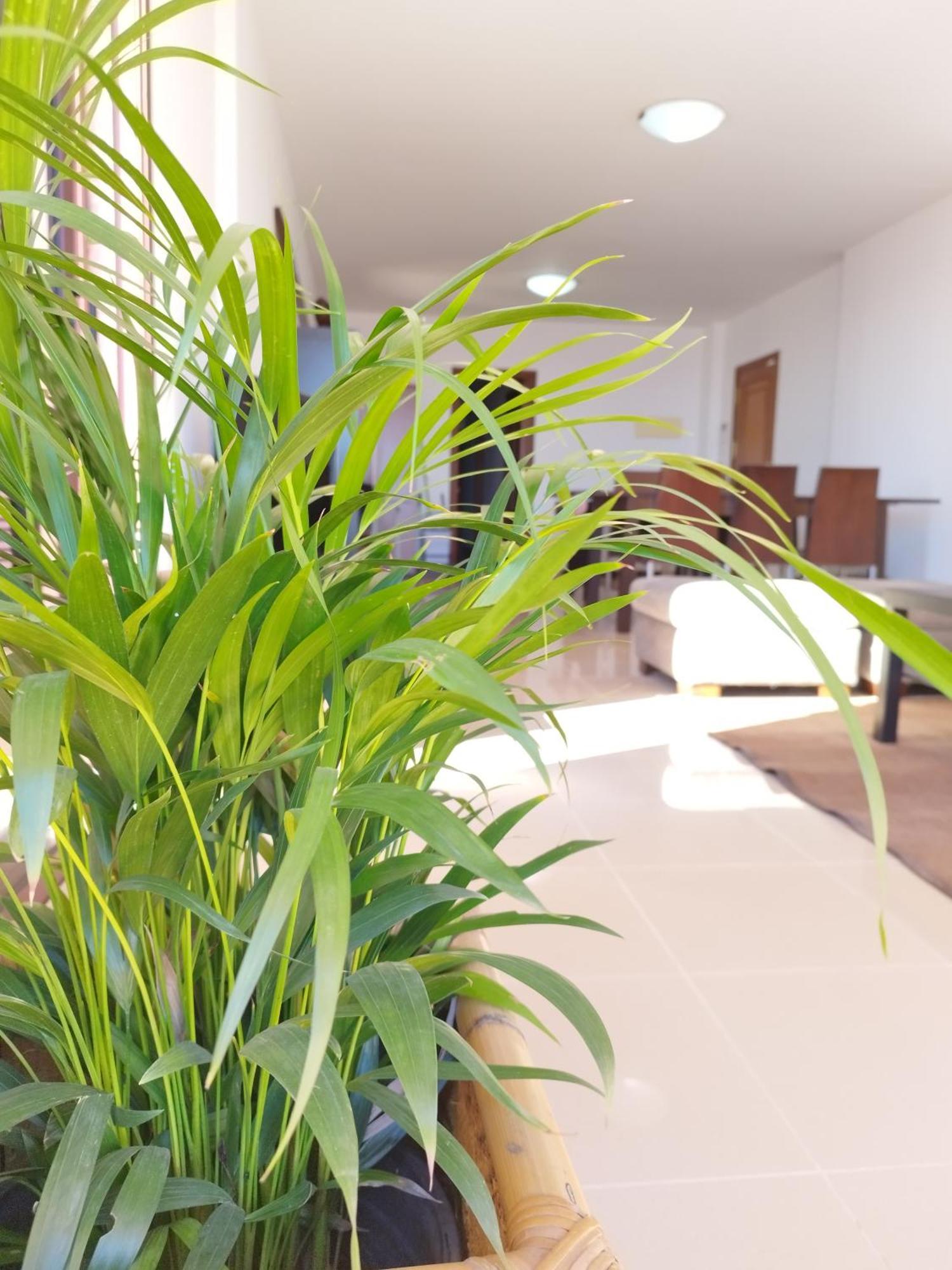 Vivienda Vacacional Compartida Radazul Bed & Breakfast Exterior photo